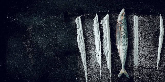 Turn of the Tide: The Surreal Story of Rabo de Peixe (2025)