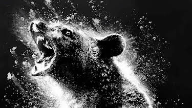 15:30: MAD FUN: 'OSO VICIOSO' | BE MAD | 6/9 2026