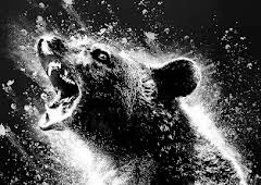 CINE: 'OSO VICIOSO'