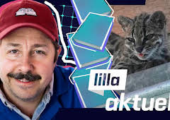 Lilla Aktuellt