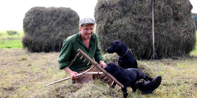 20:45: Det gode bondeliv: Høytørking og tomatsmaking | NRK 2 | 12/11 2025