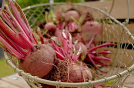 Grow, Cook, Eat: Beetroot