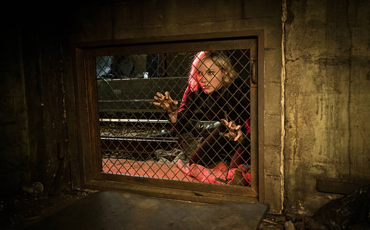 Georgina Haig