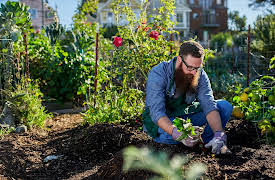 Pioneering Skills for Everyone: Modern Homesteading: Fundamentals of Gardening and Soil