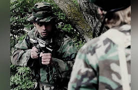 Day Zero: Metamorphosis