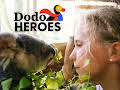 Dodo Heroes