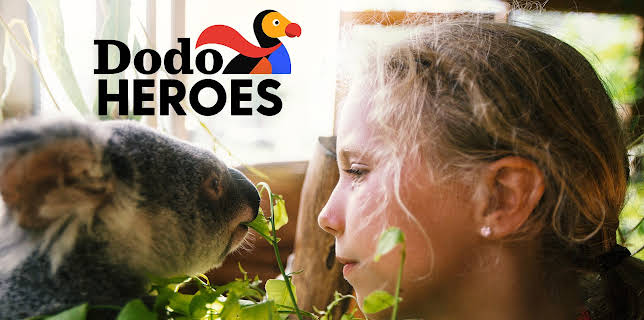 00:00: Dodo Heroes (S1 E3) (S1) | Animal Planet | 11/12 2025