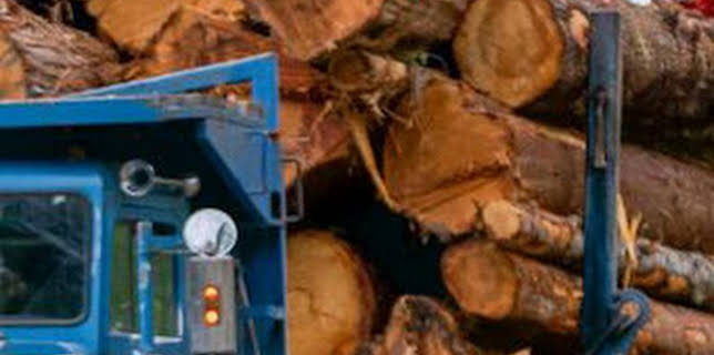 12:05: Los últimos leñadores: Varado | Discovery | 3/21 2026