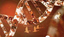 A fondo: el gen de la caza