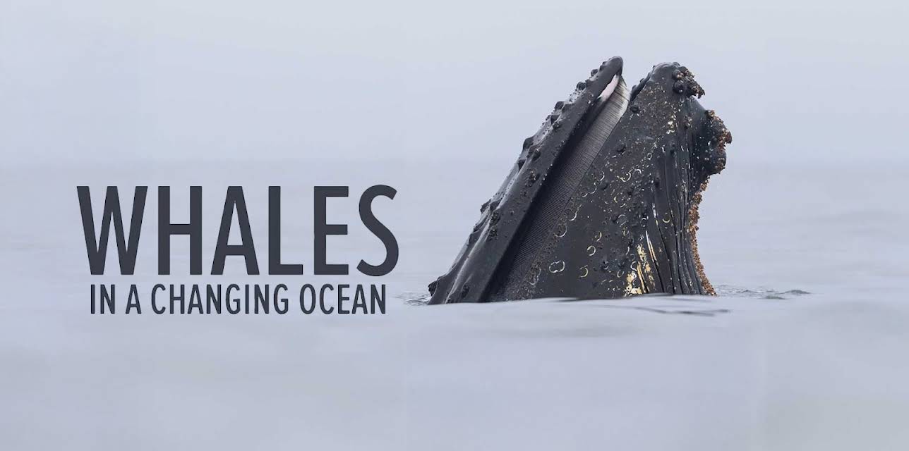 Whales in a Changing Ocean (2022)