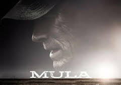 Mula