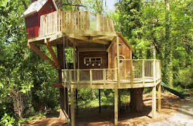 Elbow Room: Treehouse of Fun