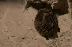 Bonderøven: Episode 2