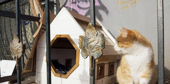 07:16: 360° Reportage | Arte | 11/22 2025