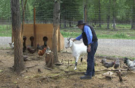 Dr. Dee: Alaska Vet: Episode 5