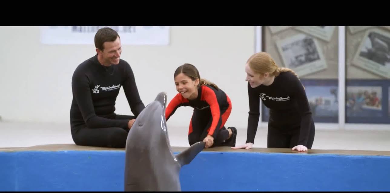 Bernie the Dolphin 2 (2019)