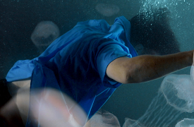 CSI: Miami: Kill Clause