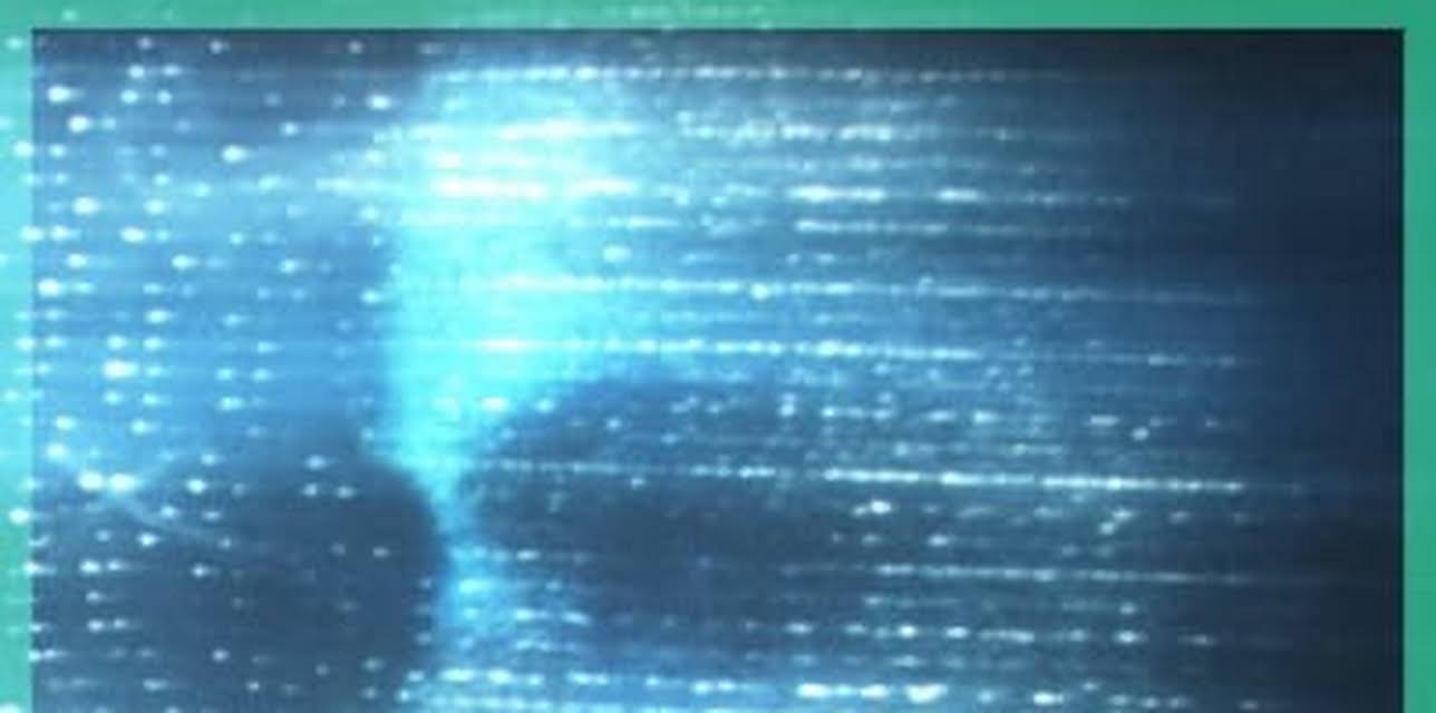 DUST Collection: Antinomy (2021)