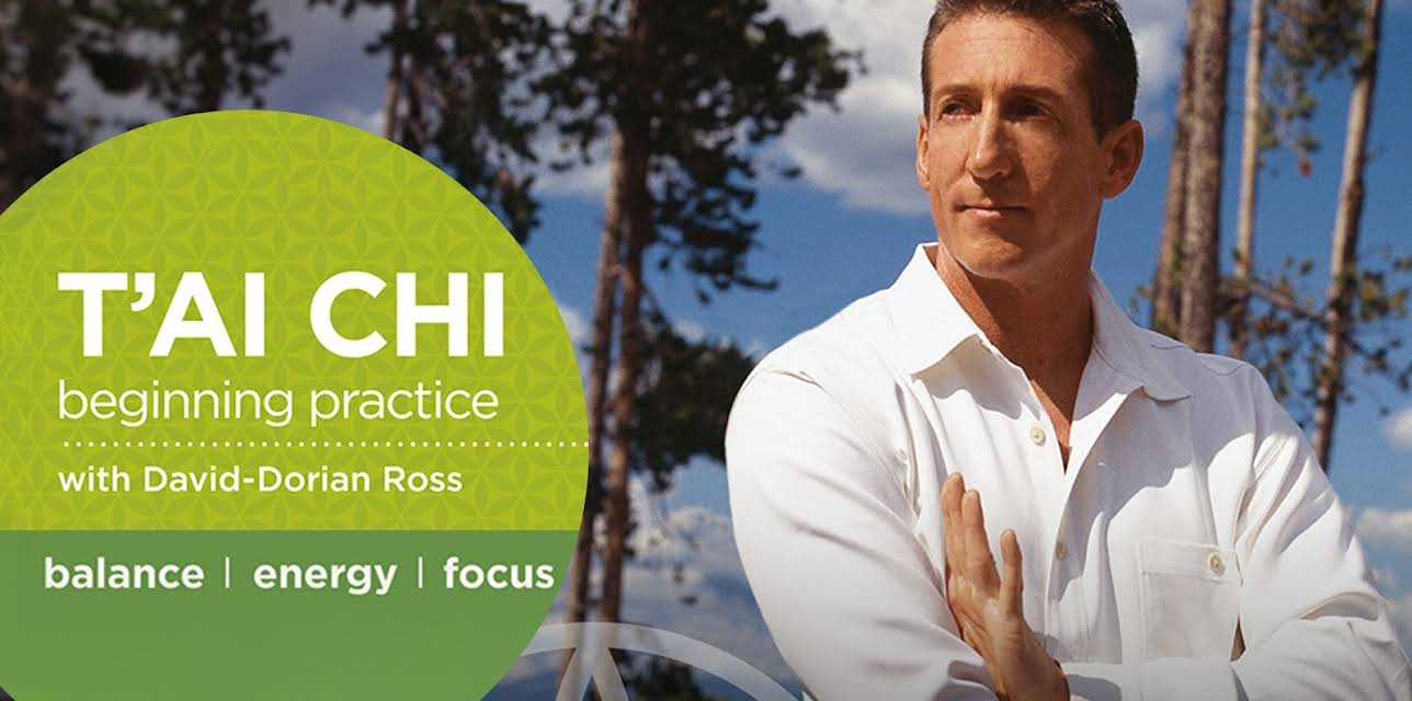 Energy Chi for Beginners (2012)