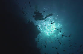 Ancient Aliens: Origins: Season 1: Submerged Evidence