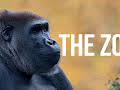 The Zoo
