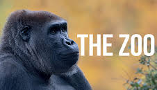 The Zoo (S3 E8)