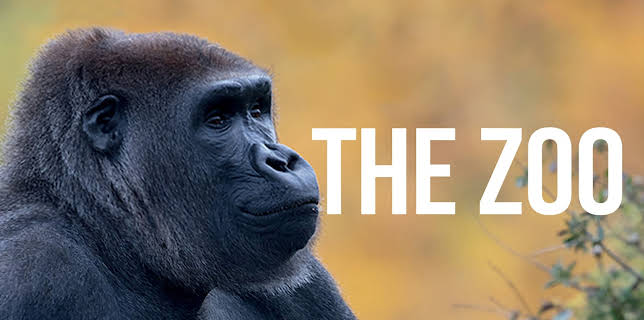 4:00 PM: The Zoo (S3 E8) (S3) | Animal Planet | 2/8 2026