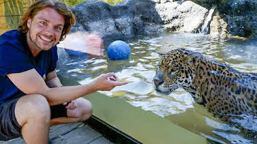 10:00 AM: One Zoo Three (S4) | CBBC | 6/23 2026