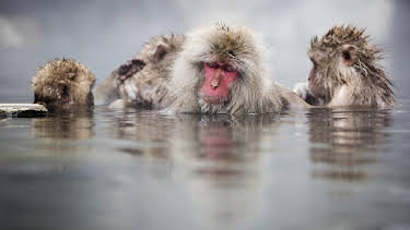 12:25 AM: Mindful Escapes: Breathe, Release, Restore | BBC Four | 4/6 2026