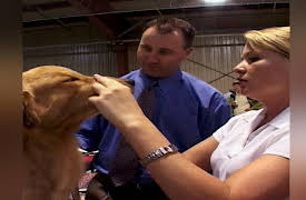 Going to the Dogs: Show Ring Dreams