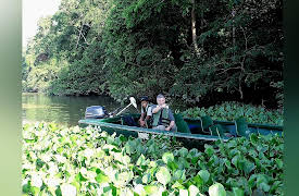 Leave No Trace: Borneo
