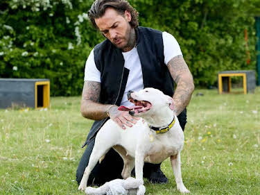 15:20: Pete Wicks - Aus Liebe zu Hunden | Sixx | 7/5 2026