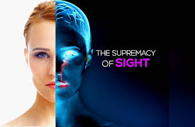Unveiling our 5 Senses: The Supremacy of Sight