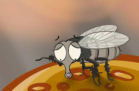 I'm a Creepy Crawly: Fly