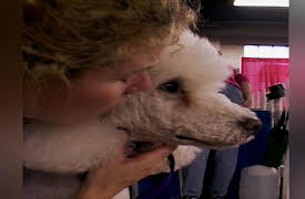 Going to the Dogs: Things We Do for Love