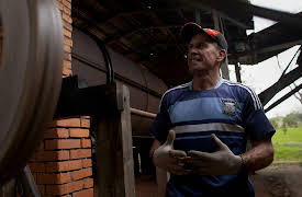 The Secret World of Herbs: In Latin America