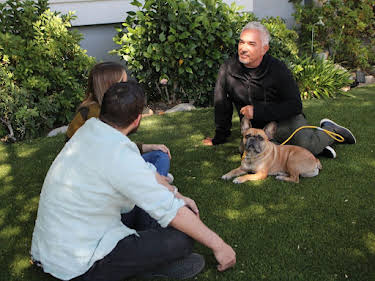 05:55: Cesar Millan: Better Human Better Dog - Bessere Menschen, bessere Hunde | Sixx | 7/26 2026