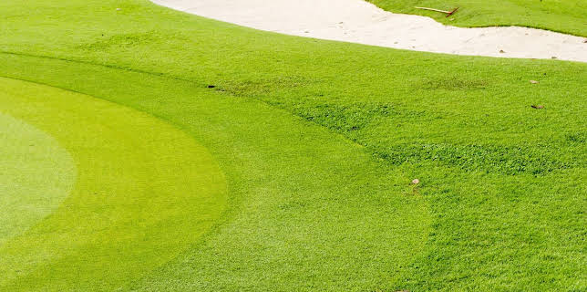 8:00 PM: LPGA Tour Golf | Sky Sports Golf | 11/2 2025