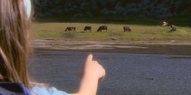 09:40: Fjellgården i Trollheimen: Bjørnehiet | NRK Super | 10/28 2025