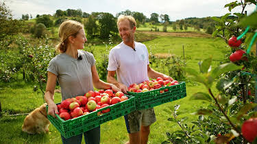 04:00: Draumen om eit småbruk: Endeleg eple | NRK 1 | 4/26 2026