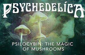 Psychedelica: Psilocybin: The Magic of Mushrooms