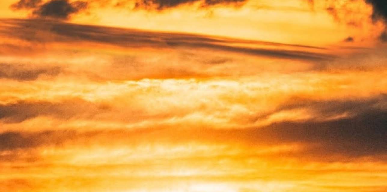 Cross Purposes (2021)