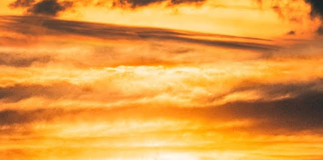 Cross Purposes (2021)