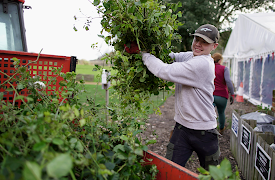 Highclere: Behind the Scenes: The Centenary