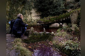 Looking for the Hobbit: The Creatures of the North