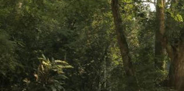 19:15: Congo, el corazón de África | La Otra | 1/12 2026