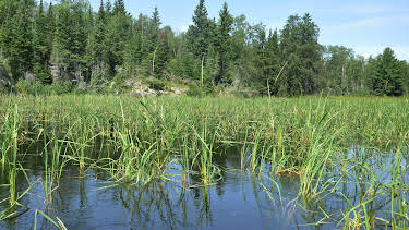 20:45: Hvordan den lages (S24 E19) (S24) | Discovery Science | 12/27 2025