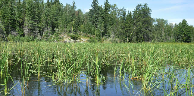 19:45: Hvordan den lages (S24 E19) (S24) | Discovery Science | 11/1 2025