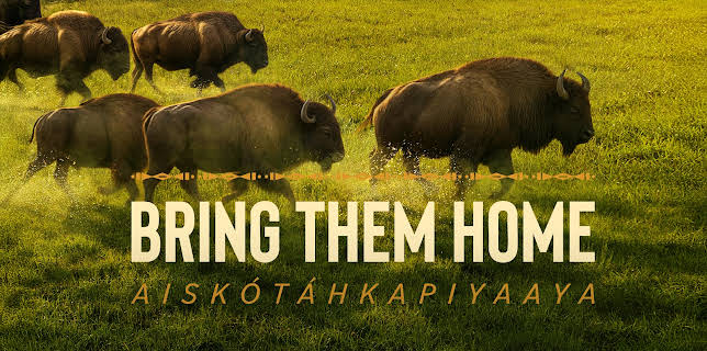 Bring Them Home (2024)