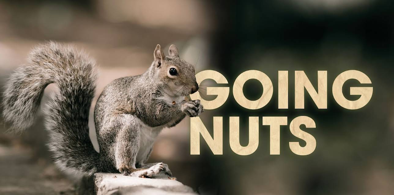 Going Nuts (2019)